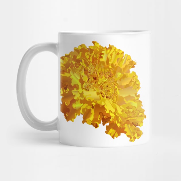 Yellow Marigold by TinaGraphics